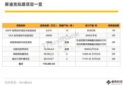 斯迪克以400万元竞得土地使用权，布局OCA、偏光