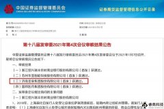 2021年，国内光刻胶市场还有哪些惊喜？