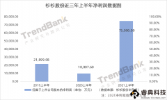 杉杉股份上半年净利预增达649%，偏光片业绩贡献