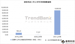 偏光片持续盈利，深纺织上半年净利预增8650%