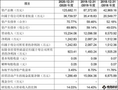 “国产光刻机第一股”华卓精科上市暂缓，政府